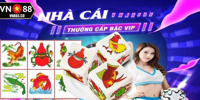 Cá cược Bầu cua tại Vn88 là lựa chọn tối ưu