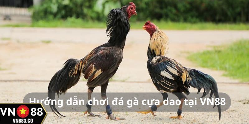 Các bước đăng ký chơi cực kỳ đơn giản, dễ hiểu và nhanh chóng