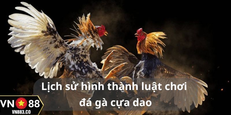 Lịch sử luật chơi phát triển từ trò đá gà truyền thống