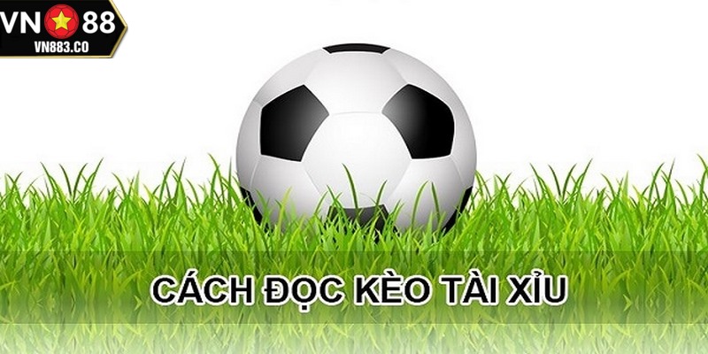 Ví dụ về kèo tài xỉu 2 trái